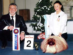 Alika Jasmine - Best in Show-II